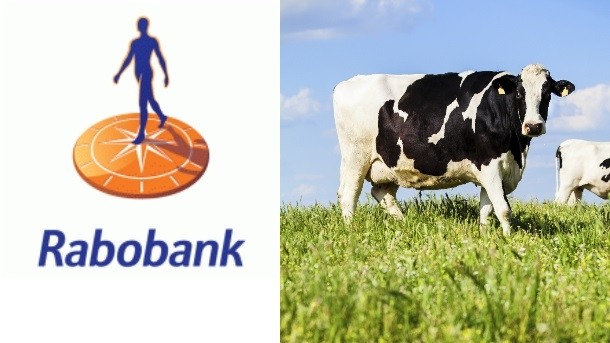 Rabobank dairy report dairynews7x7