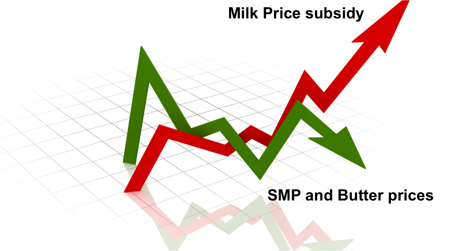 More milk subsidy low SMP price