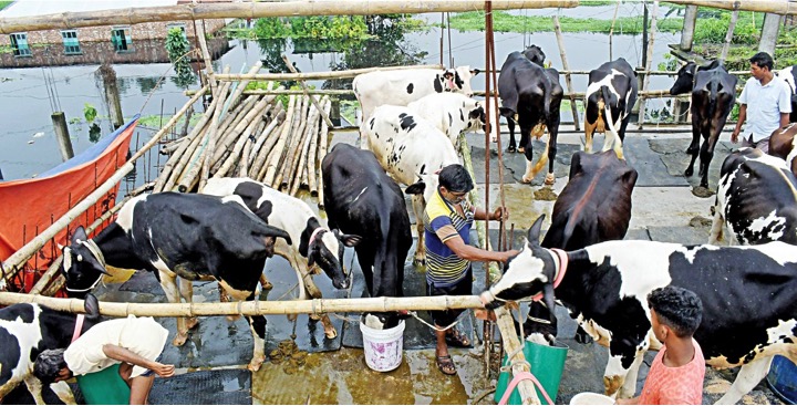 floods in bangladesh