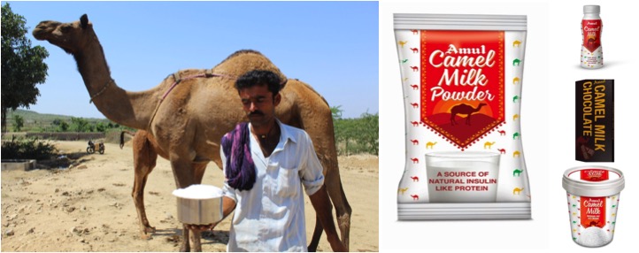 amul launch camel milk ice cream