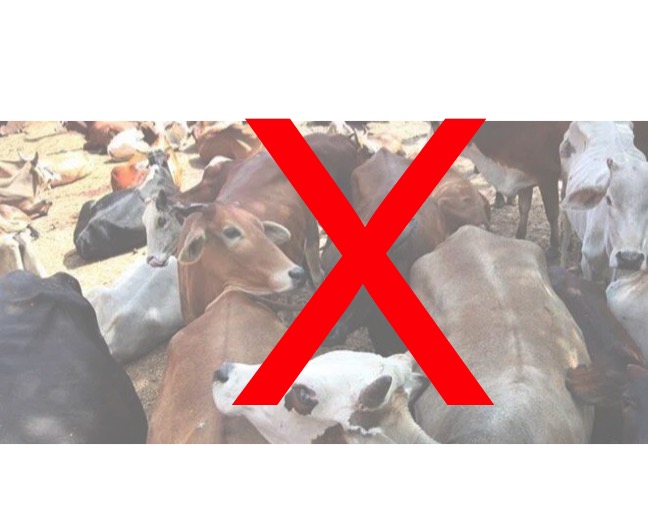 dairy farms banned dairynews7x7