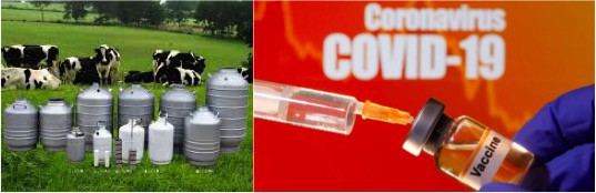 AI cans covid vaccine