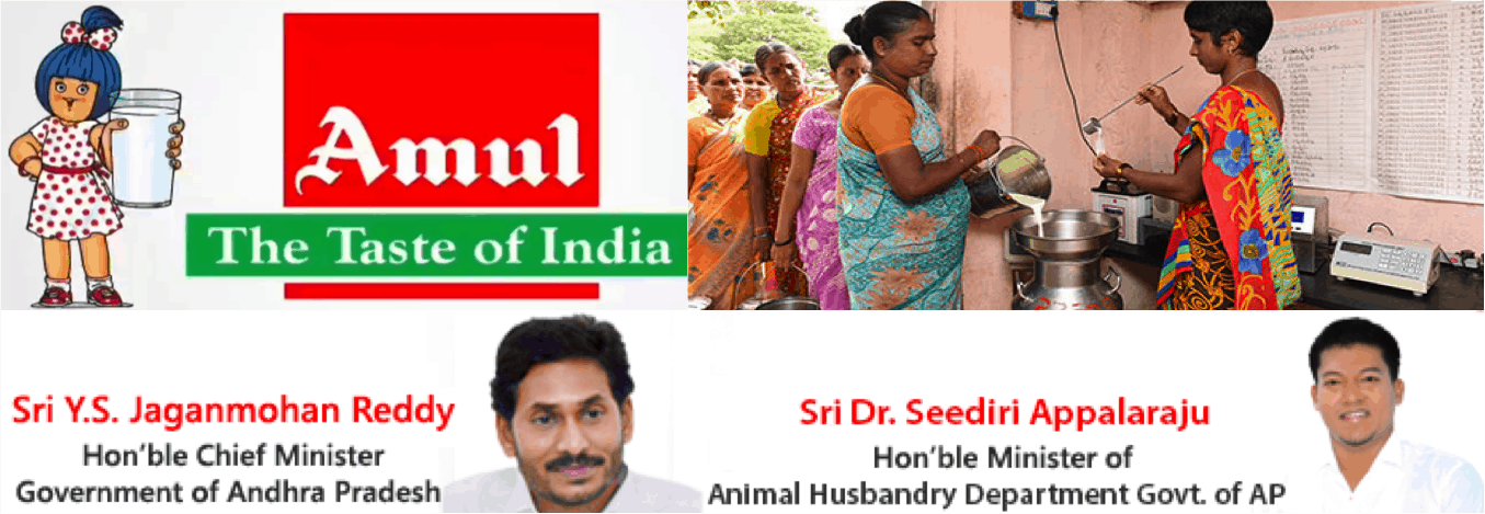 amul milk procurement andhra pradesh