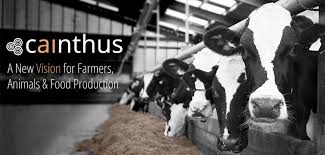 Cainthus cow cameras technology