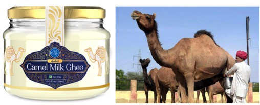 aadvik camel milk ghee