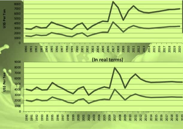 dairy export india