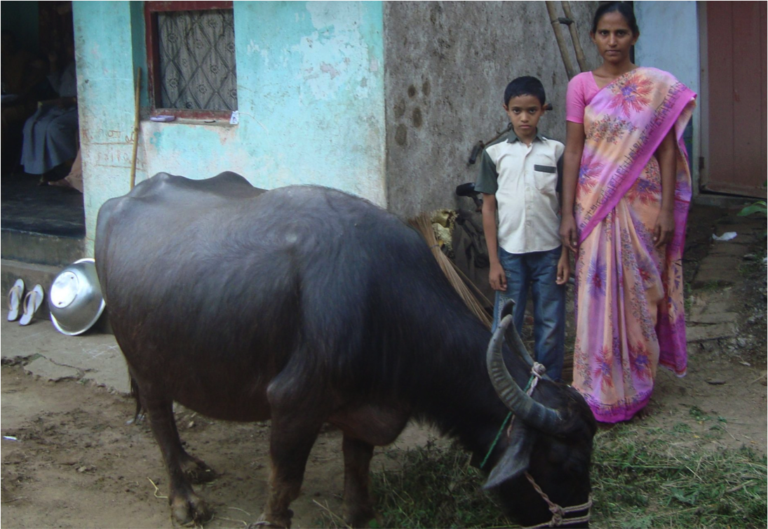 andhra farmer poor animal