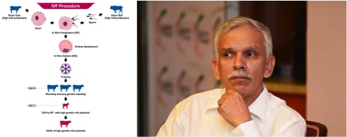 atul chaturvedi dairy trends