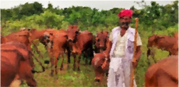 dairy farmer income India