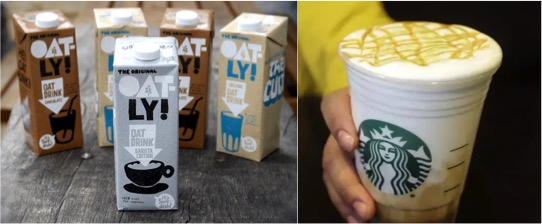 starbucks Oatly India