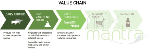 dairy value chain milk mantra