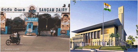 sangam dairy HC