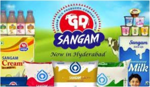 sangam dairy