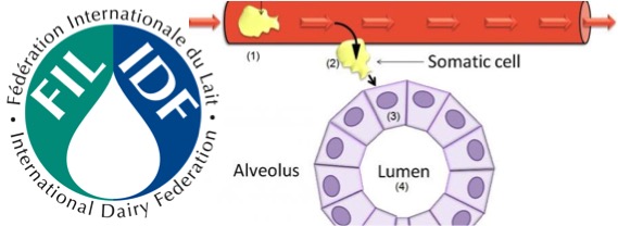 IDF Somatic cell count bulletin dairynews7x7