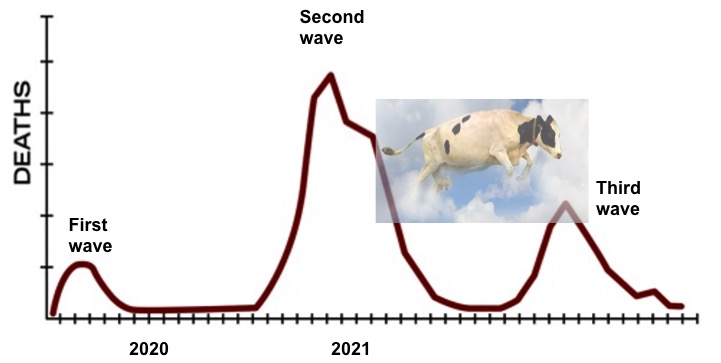 fate of dairy on the edge of third wave dairynews7x7