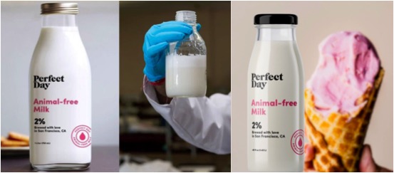 perfect day animal free milk dairynews7x7