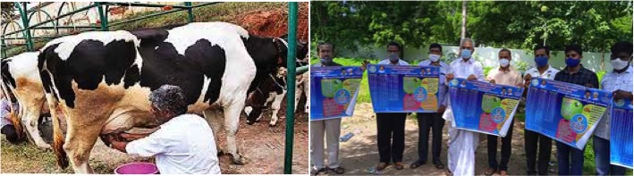 telangana federation dairy farmers schemes dairynews7x7