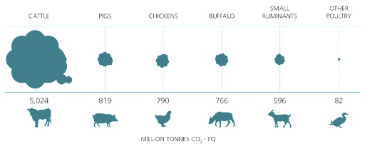 global greenhose gas livestock fao dairynews7x7