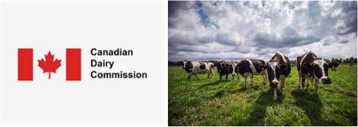 canadian dairy commission high farm gate milk price dairynews7x7