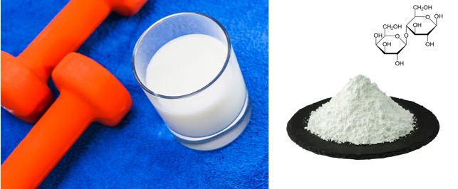 sports nutrition fuelling lactose demand globally dairynews7x7