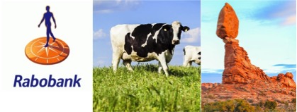 teetering on the edge global dairy rabo bank dairynews7x7