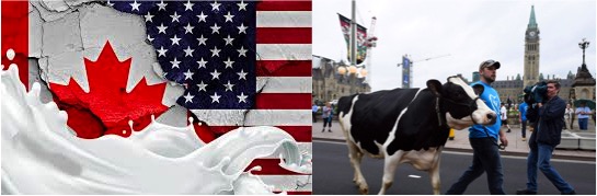 USCMA canada US dairy tariff dairynews7x7