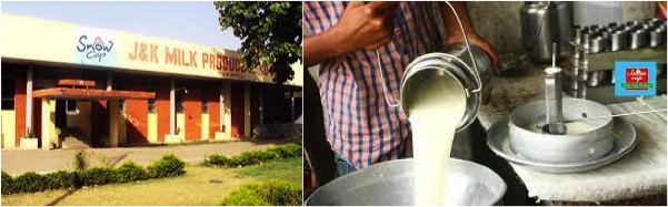 poor milk demand in Kashmir dairynews7x7
