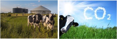 15042022_Dairy supply chain companies reducing carbon emissions dairynews7x7