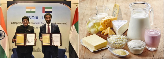India UAE FTA kept dairy outside dairynews7x7