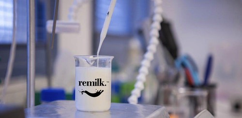 remilk sets up largest precision fermentation lab in EU dairynews7x7