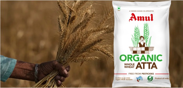 Amul launch organic wheat flour dairynews7x7