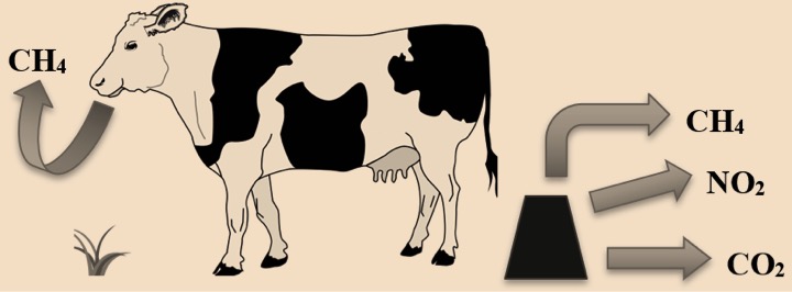 ghg emission dairy farming cows dairynews7x7