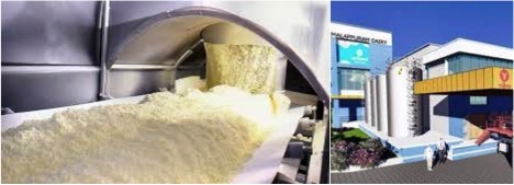 milma planning to open up first milk powder plant dairynews7x7