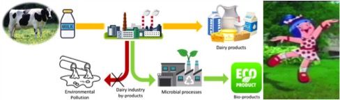 dairies taking greener initiatives dairynews7x7