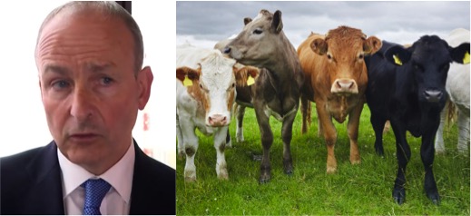 Irish dairy least carbon footprint dairynews7x7