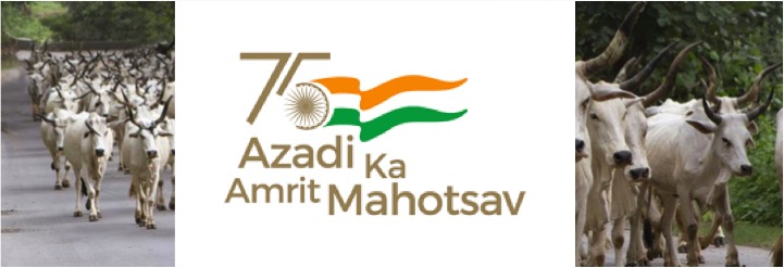 75 facts of Indian dairy industry azadi ka amrit mahotsav dairynews7x7