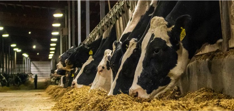 Is tech answer to dairy threats dairynews7x7