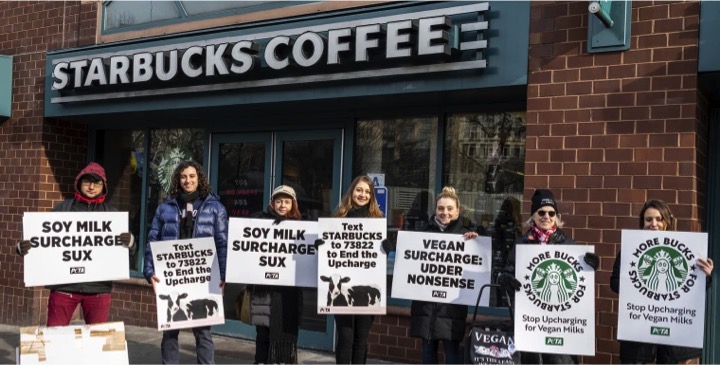 cafe in USA not giving plant based milk free dairynews7x7