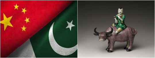 Pakistan will help china in buffalo business dairynews7x7