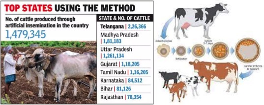 sex sorted technolgy in India by NDDB dairy services WDS 2022