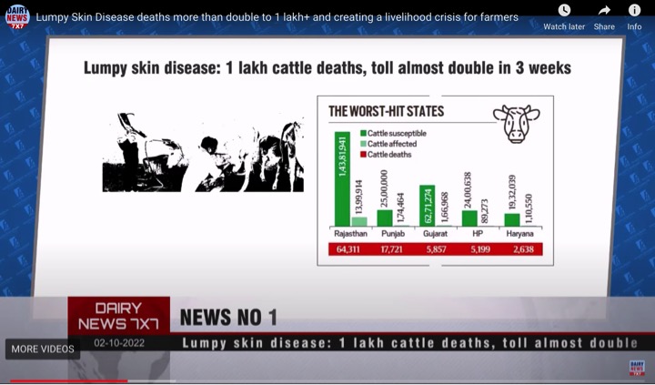 02102022_weekly dairynews7x7 thumbnail