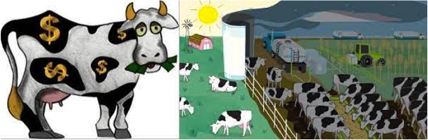 Is carbon new cash cow dairynews7x7