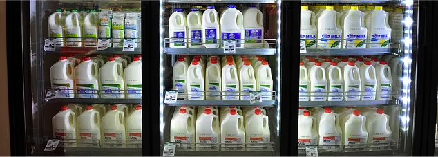 australian milk price projected inc 28% dairynews7x7