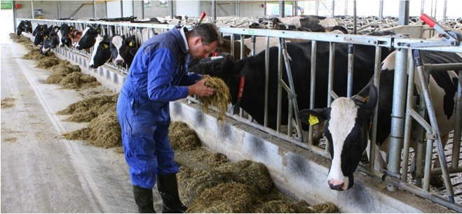 best practices for dairy farms dairynews7x7