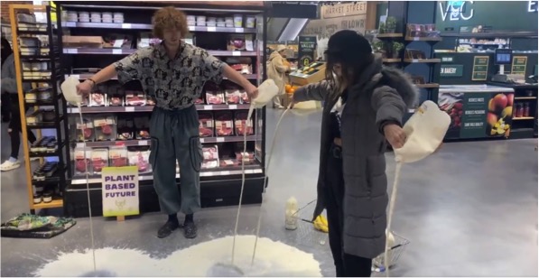 teens throws milk in stores to protest against dairy industry dairynews7x7