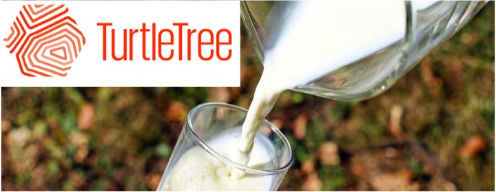 turtle tree cell based milk dairynews7x7