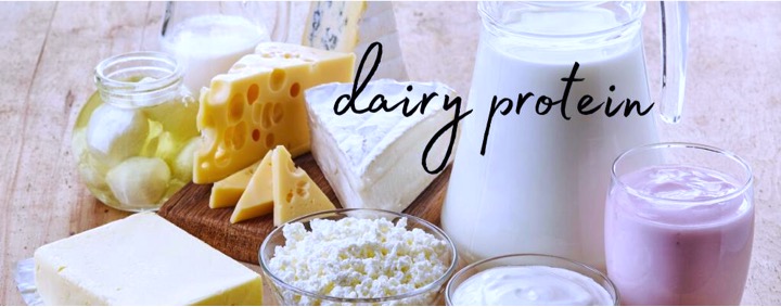 dairy protein modification innovators dairynews7x7