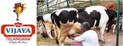 govt gave 2128 crores to telangana for dairy development dairynews7x7