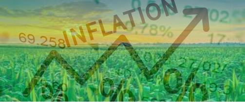 inflation moderated slightly dairynews7x7