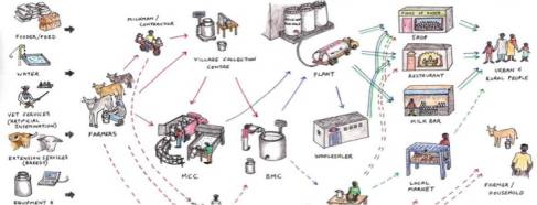 amul dairy value chain dairynews7x7